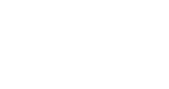 WES Ltd logo